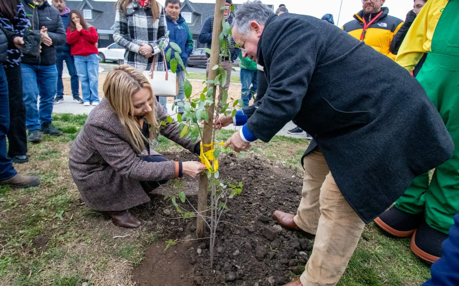 Conaf Ñuble launches "My Town, My Tree" program and begins transition to the National Forest Service