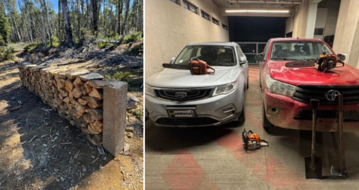 Six People Arrested for Cutting, Transporting, and Storing Native Wood in Río Negro