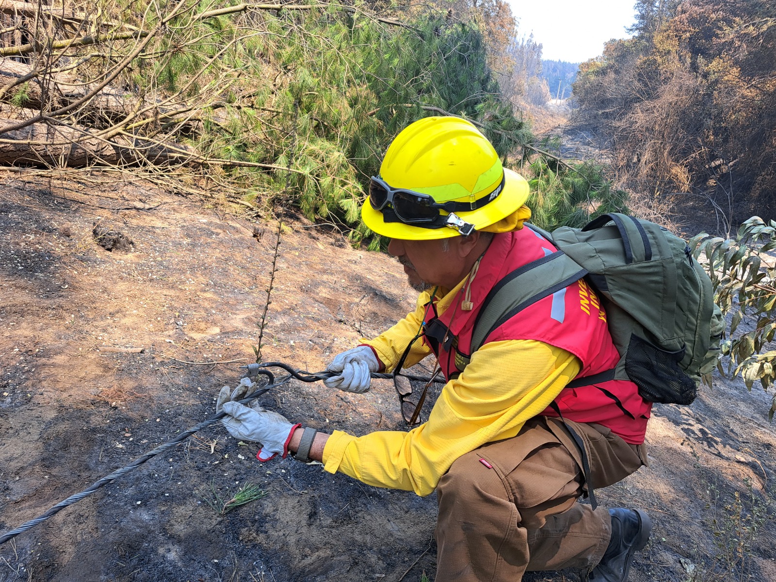 The Human Factor in Fire: Behind 99% of Wildfires in Chile