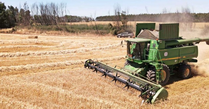 Despite Decrease in Violence in the South, Unions Warn That Private Investment Is Not Increasing