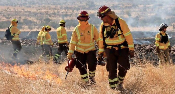 Sernafor: The New Face of Conaf and Doubts About Its Role in "Permitology"