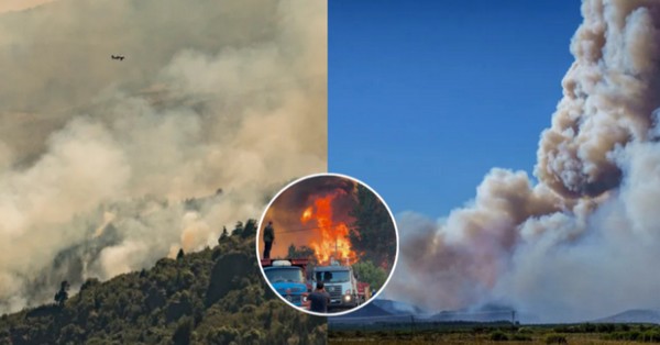 Over 50,000 hectares ravaged by wildfires in Argentina's Patagonia
