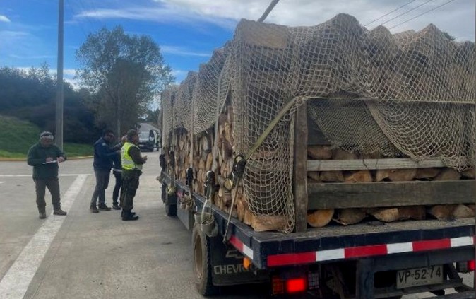 Operativo interinstitucional intensifica vigilancia por posible tala ilegal en Los Lagos