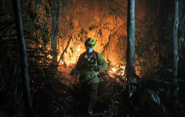 Biobío Province Leads in Wildfire Occurrence