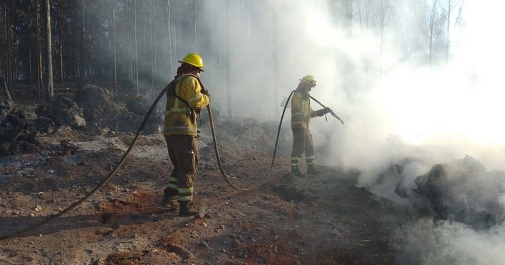 Experts from Conaf and Corma Assessed the 2023–2024 Wildfire Season