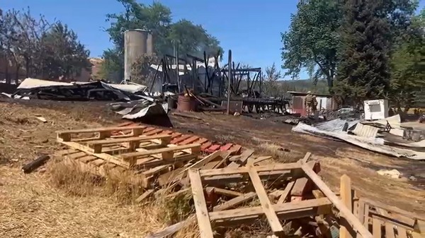 Hooded Men Threaten Family with Firearms and Destroy Home During Attack in Lumaco