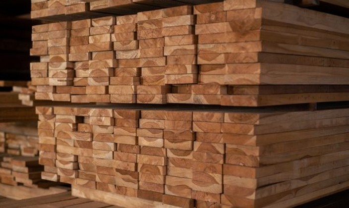 Biobío's Forestry Exports Fall in September