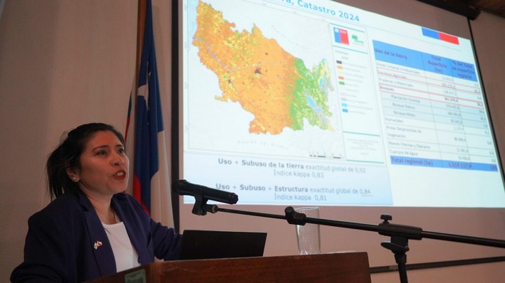 CONAF Survey Reveals Over Half of Ñuble is Covered by Forests