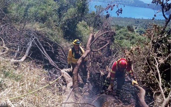 Two People Arrested for Illegal Burning in Rupanco and Pichil Areas