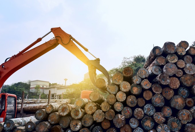 Forestry sector drags down Biobío's manufacturing production and explains much of May's decline