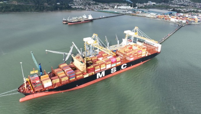 Forestry Guilds Warn of "Disproportionate" Impact Due to Price Drop and Tensions with the U.S.