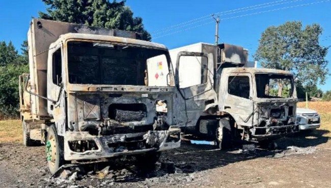 After 500 Attacks, Forestry Contractors Urge Government to Dismantle Violent Groups in Its Final Year