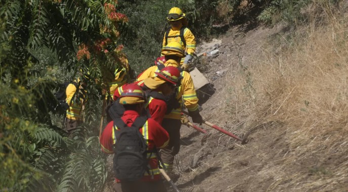 Two Groups Identified Behind Threats to Firefighters in Curanilahue: Linked to Timber Theft