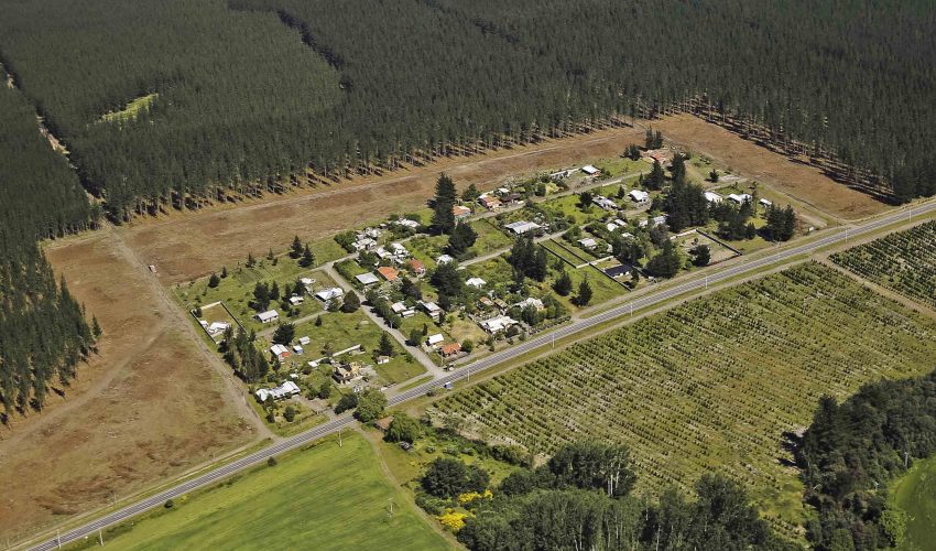 "Short Fire Law": Concern in the Forestry Sector Over Costs for Small Landowners