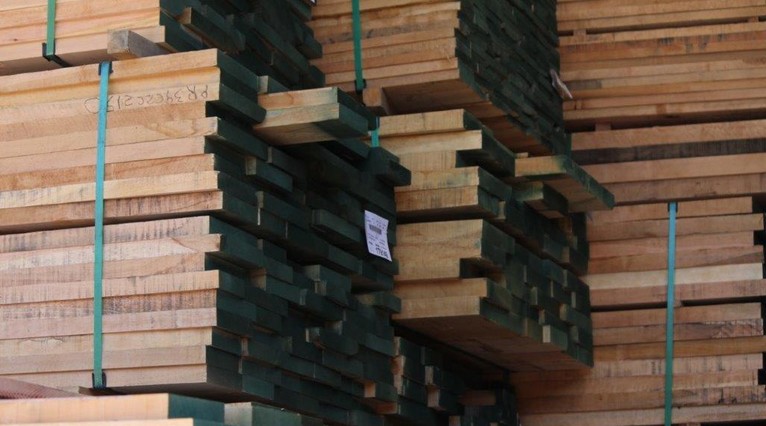 Exportaciones forestales del Biobío caen más de 20% en julio: la celulosa lidera las pérdidas