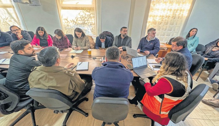 Conaf to Have a Projection Team for This Wildfire Season