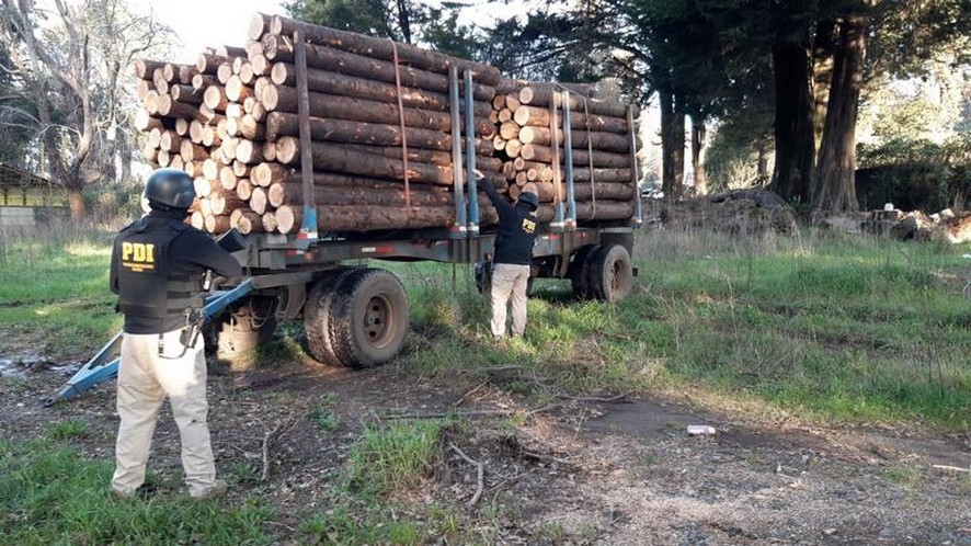 Subjects Caught in the Act for Wood Theft in San José de la Mariquina