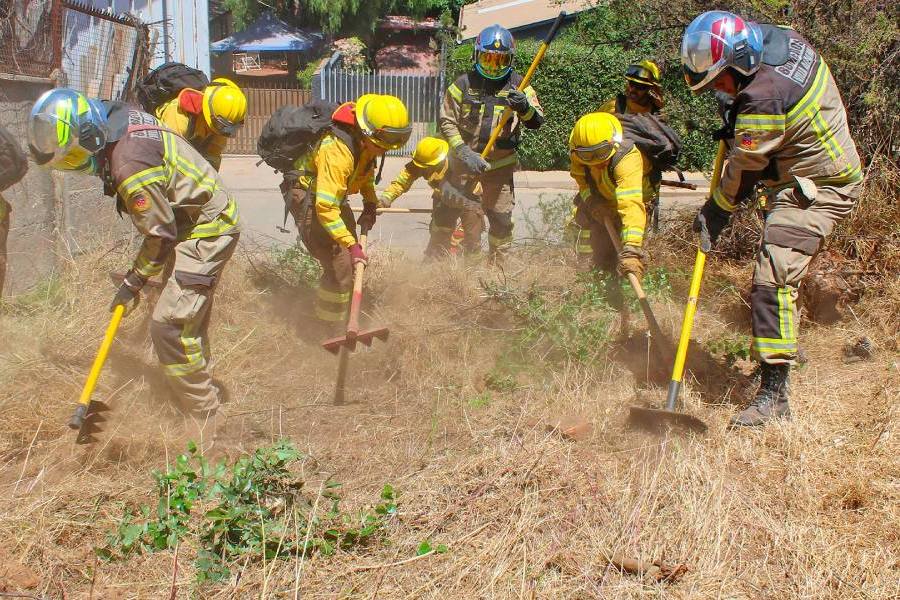 Ñuble suma 700 trabajadores para reforzar la prevención de incendios forestales