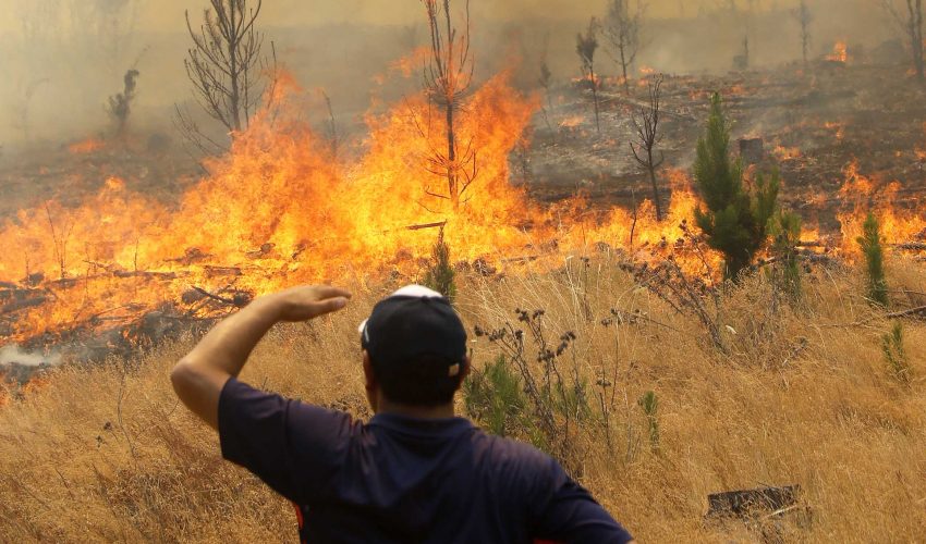 Municípios e Conaf ajustam planos contra incêndios: simulados e recursos seguem pendentes