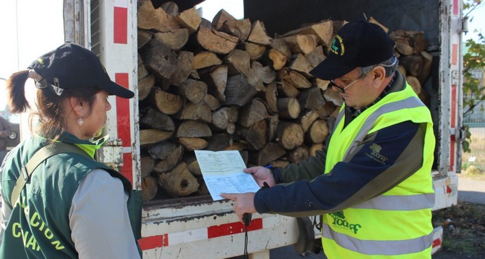 Public Officials Trained on Timber Theft Law