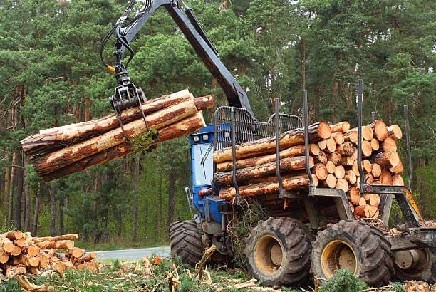 The forest services sector and its commitment to formal and fair work
