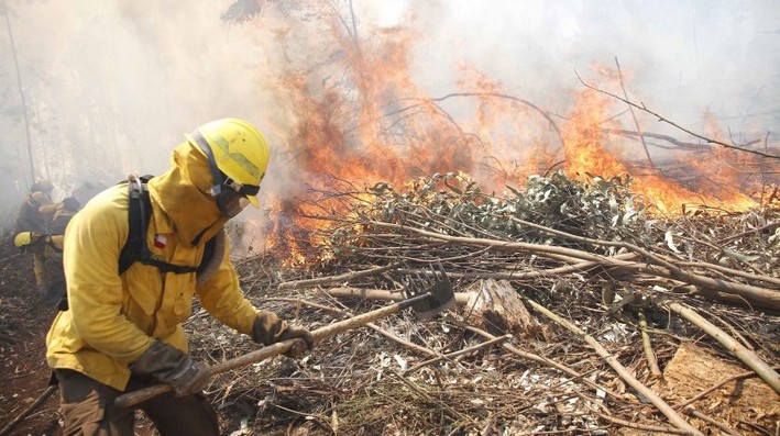 Municipalities of Biobío Request Acceleration of Wildfire Law Processing
