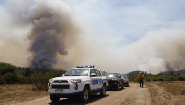 Prosecutor's Office and PDI Investigate Forest Fire That Left Three Firefighters Dead in Los Sauces