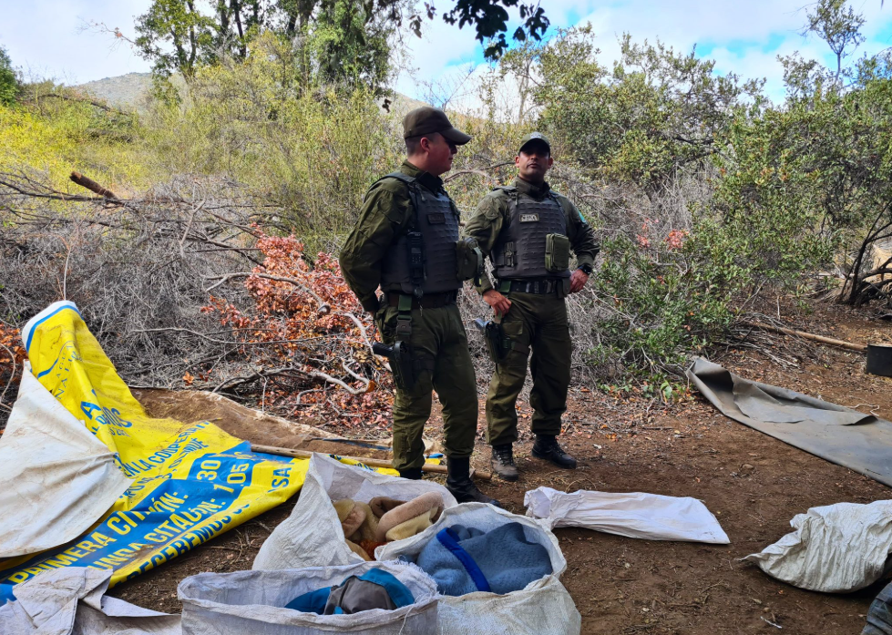 Illegal camp dismantled and native forest logging detected in La Campana National Park