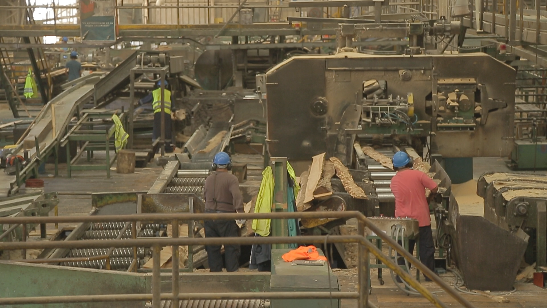 Loncoche wants to beat again with wood and become the forestry capital of the south