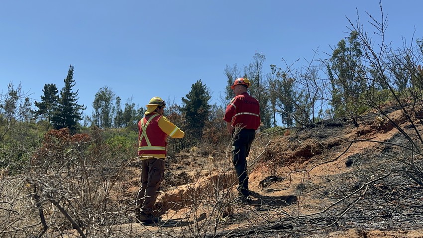 Rising Arrests: 49 Charged for Wildfires in 2024