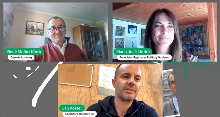 Jan Köster Reveals the Future of Chile's Forests: Crisis and Opportunities in Native Woodlands