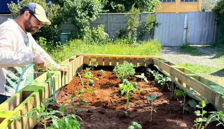 Compost Garden: the initiative that transforms waste into community gardens and strengthens community well-being