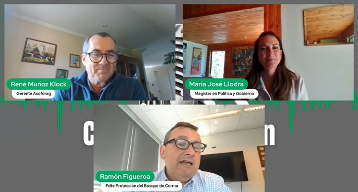 Incendios forestales en Chile: Biobío muestra avances, pero preocupa alza de la intencionalidad