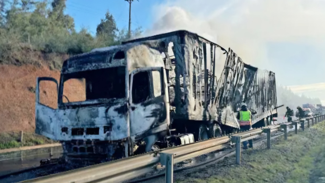 Appeal to UN Human Rights Committee for 31 victims of violence in southern macrozone