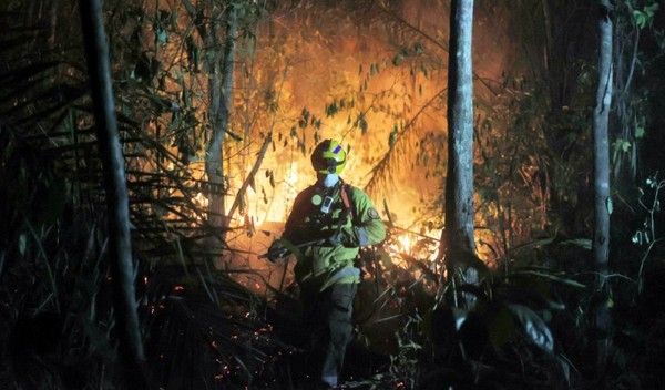 Experts Explain the Health Effects of Wildfire Smoke