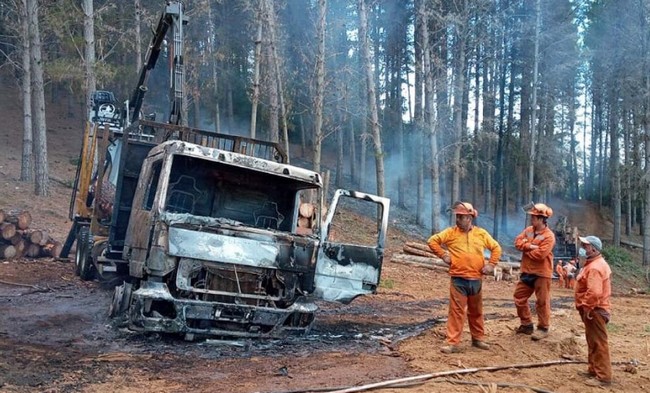 Study Proposes Comprehensive Reparation System for Victims of Violence in the Southern Macrozone