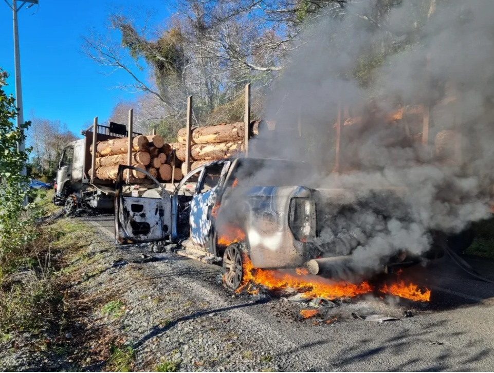 Mapuches contra mapuches: la amenaza de muerte de violentistas contra trabajadores de faena forestal