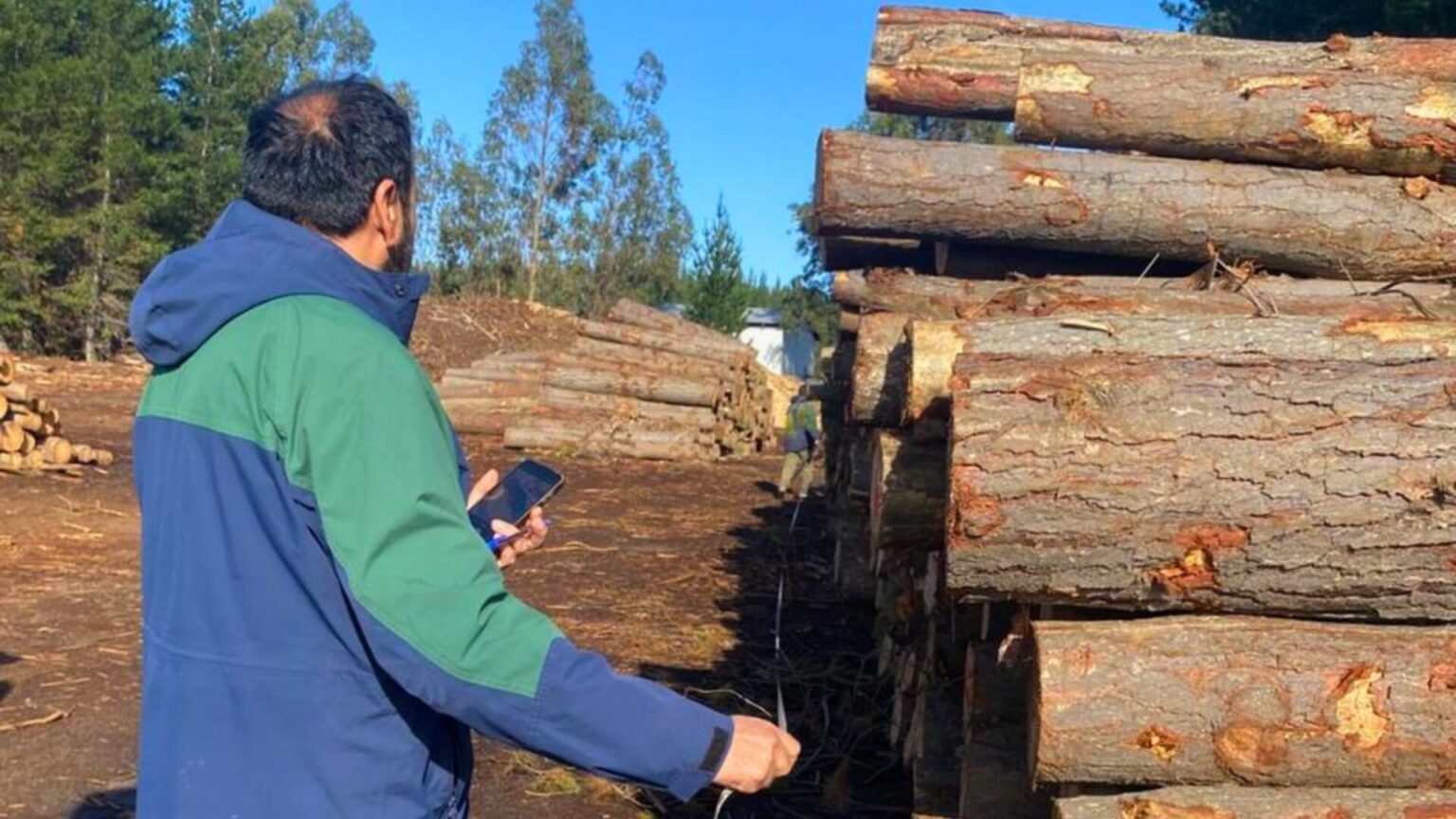 Conaf participa en fiscalización a aserraderos de Itata para reforzar trazabilidad de madera y prevenir delitos forestales