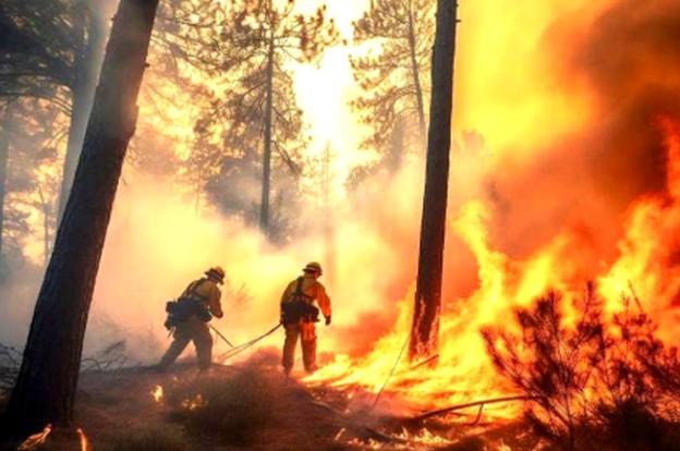 Increase in Forest Fires Caused by Thunderstorms in Ñuble: 14 Cases This Season