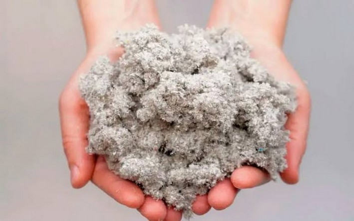 They seek to transform nanocellulose into a technology for new materials