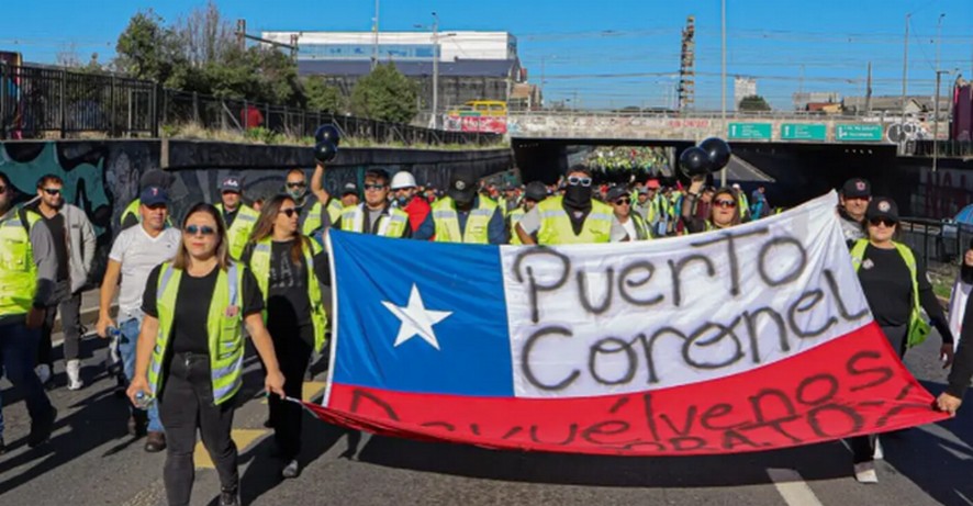 Forestry Contractors and Port Strike: "A Solution is Needed, But Not After Waiting 50 Days"