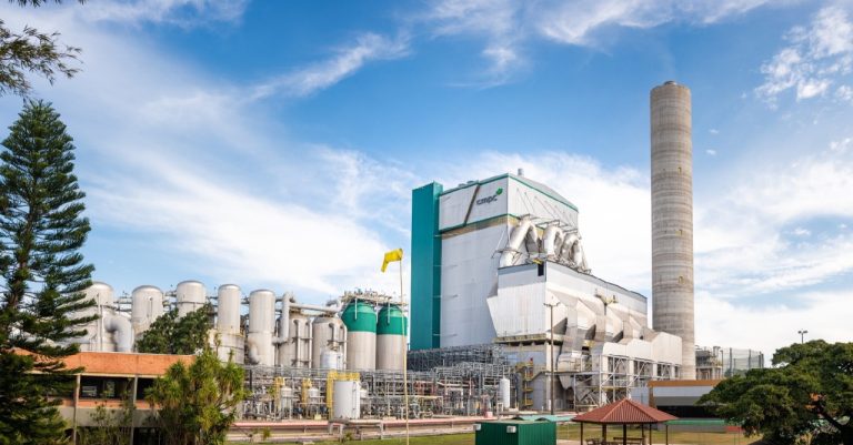 CMPC Warns of Possible Pullback in Chile and Announces Over US$4 Billion Investment in Brazil