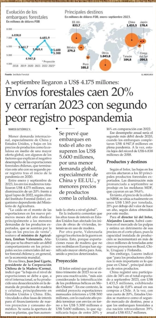 Forest Shipments Drop 20% and Could End 2023 with Second-Worst Post-Pandemic Record