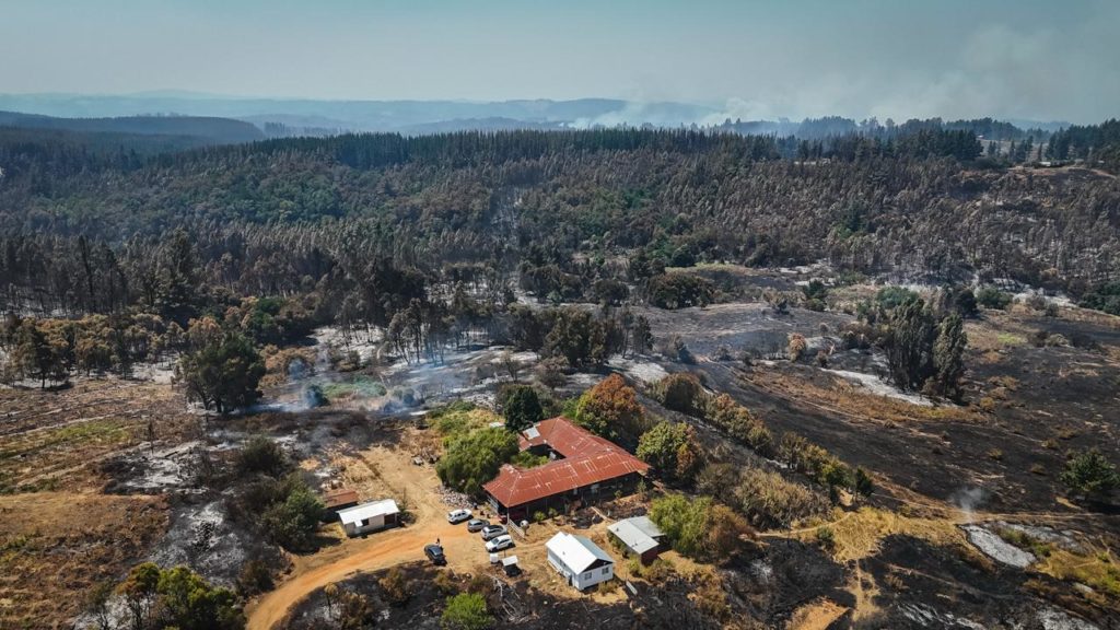 Declaran Emergencia Agrícola en Ñuble y Biobío tras incendios forestales