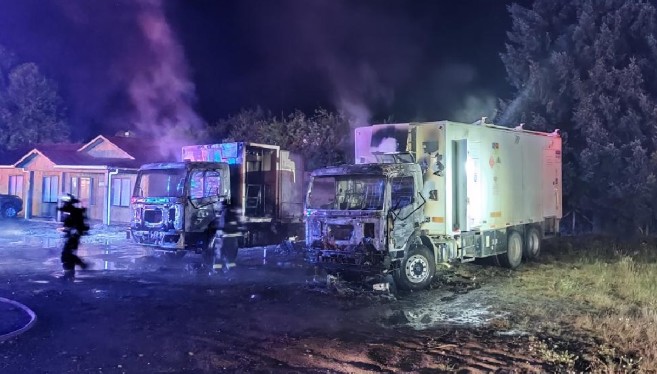 Forestry Contractors: "The State lacks the political will to go further and dismantle these terrorist gangs"