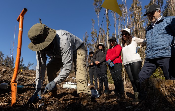 Planting with Threatened Species Marks the Beginning of Future UdeC Botanical Garden