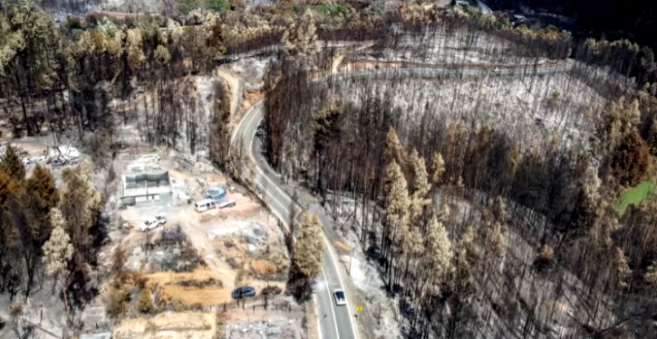 Incendio en Santa Juana: municipio y afectados preparan demandas contra Coelcha tras paso a juicio