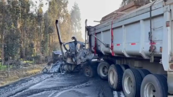 Calls for Government to Take Active Role and Request Measures in Investigations into Temucuicui