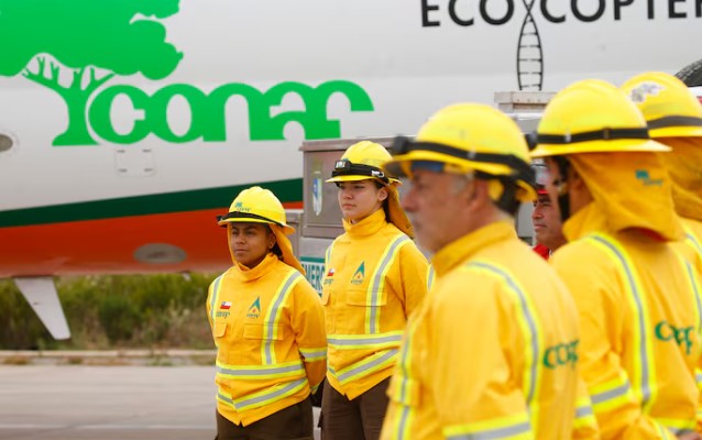 National Forestry Service: What the Bill Seeking to Transform Conaf Entails