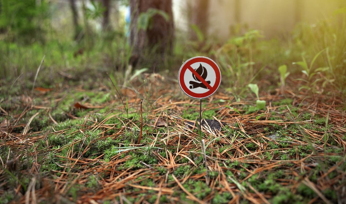 Senate Approves Fire Law and Moves to Third Legislative Stage